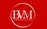 Bvm Consulting